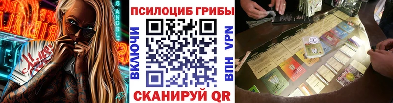 Купить где  Хадыженск  Псилоцибиновые грибы Psilocybine cubensis 