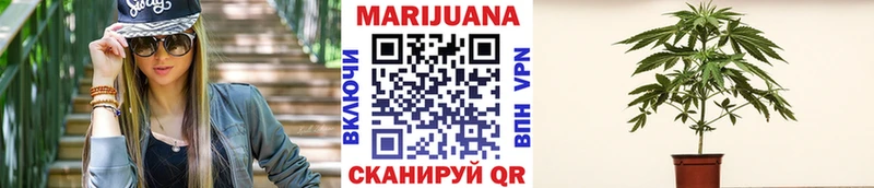 Купить где  Хадыженск  Марихуана Amnesia 